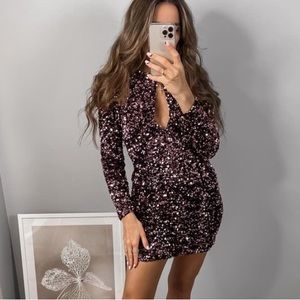 Zara velvet sequin mini dress dark pink